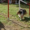 foire-haricots 2011-09-17et18